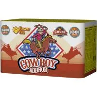 Батарея салютов Ковбой ОС6490 купить от производителя Огненный Цветок — Усинск