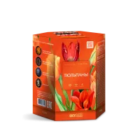 Фейерверк Тюльпаны 19. Купить Фейерверк Тюльпаны 19 Z1050 — магазин продажа салютов недорого —  Усинск, производитель Русский фейерверк - Русская пиротехника, доставка по России  +7 963 711 89 03 — Усинск | usinsk.piroclub.ru