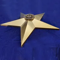 Звезда вечный огонь (1628) поставка комплект горелка ГВД 379 10 89 00 ПС ø 1100 мм. пустотелая  в Усинске